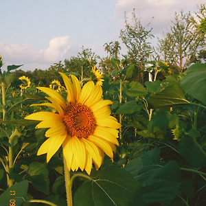 2017.09.18 월드컵공원
