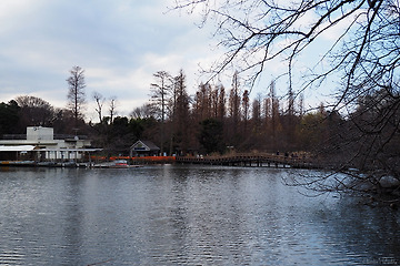 새해 도쿄여행 - 기치조지 이노카시라 공원