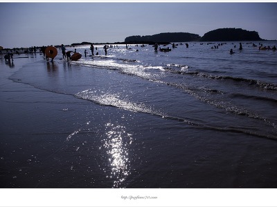[여름바다] 무창포 해변의 해무렵 은빛물결