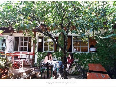 인사동 사과나무 마당이 예쁜 퓨전레스토랑(폐업)
