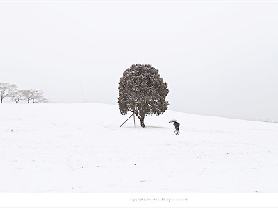 올림픽공원 겨울사진찍기좋은곳, 나홀로나무 겨울풍경 - #1