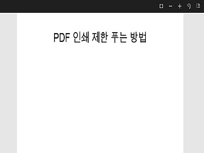 PDF 인쇄 제한 풀기 간단한 방법