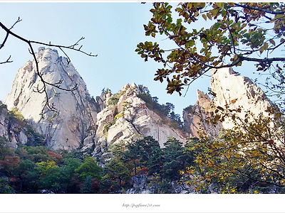 [가을풍경] 설악산 비선대 삼봉 과 암벽등반