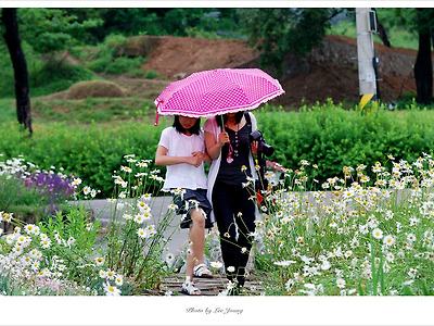 돌곶이 꽃마을에서 서연이와 함께 -  photo by 이정