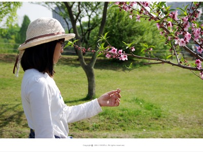 [올림픽공원] 복사꽃나무 앞에서 - 서연