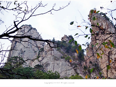 설악산 비선대 삼봉 가을풍경과 선녀봉 암벽등반하는 사람들의 모습