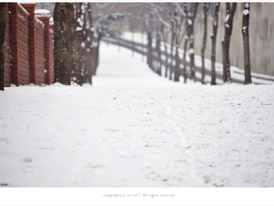 [겨울풍경] 눈 내리는 날