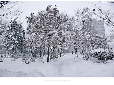 [겨울풍경] 눈 내린 공원풍경