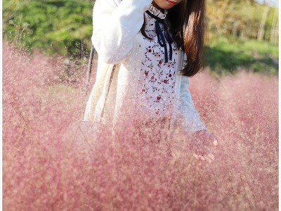 부산 대저생태공원 핑크뮬리 핑크빛 향기 - 서연