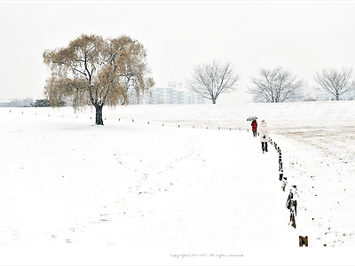 올림픽공원 몽촌토성 산책로 눈내리는 겨울풍경