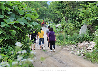 여름 캠핑 산책길 풍경 속으로-포천 큰마당 캠핑장 이야기-#3