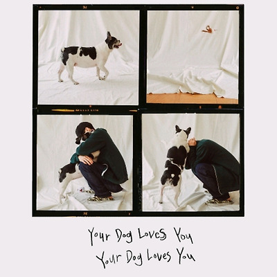 Colde (콜드) - Your Dog Loves You (Feat. Crush) (Official Video) '강아지가 쓴 것 같은 감각적인 음악'