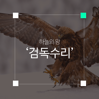 라이브러리 프로젝트