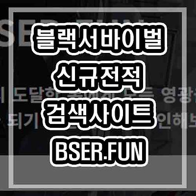 블랙서바이벌 영원회귀 전적검색 빌드 사이트 BSER.FUN (캐릭터추천/루트/스킬트리/티어)