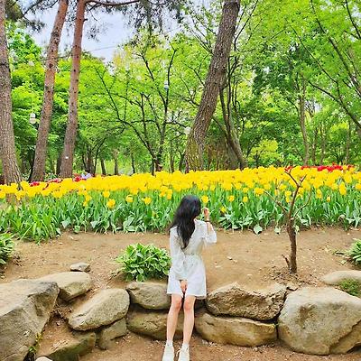 4월 봄 튤립 명소! 꽃 구경은 여기서 하세요~ 성수동 '서울숲'