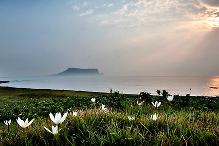 사프란과일출봉