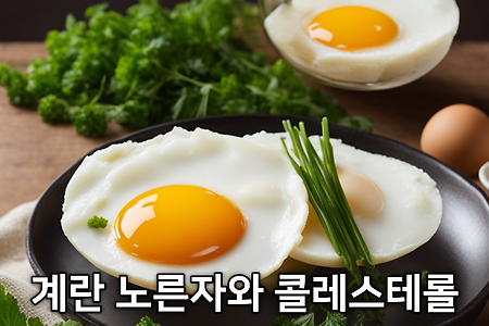 계란 노른자와 콜레스테롤 + 하루 몇 개까지 먹어도 될까?