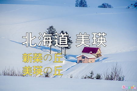 2023년 일본 홋카이도 여행 10 / 비에이(美瑛) 신에이 언덕(新榮の丘)