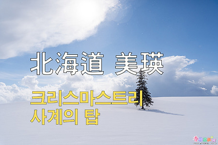 2023년 일본 홋카이도 여행 4 / 비에이 크리스마스 트리, 사계의 탑