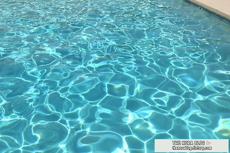 [추억 포스팅] 더워진 피닉스, 본격적으로 수영을 즐기고 있어요.