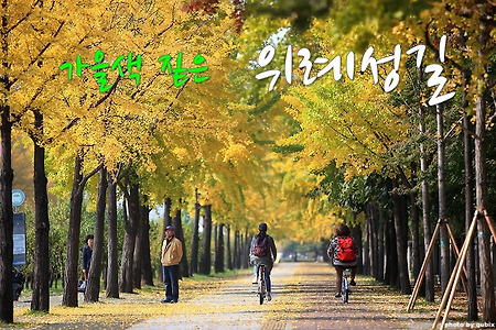 가을색 짙은 위례성길 - 서울단풍명소/가을단풍구경/단풍구경가기좋은곳