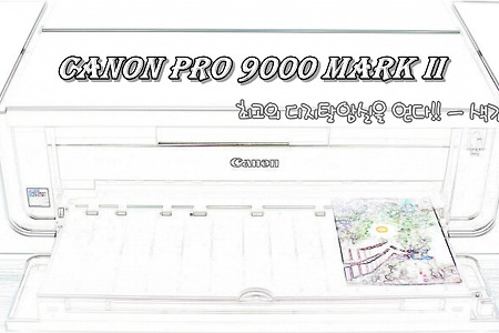 Canon Pro 9000 Mark II 사용기 - 색감편