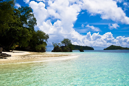 [허니문] 팔라우의 바다 (Palau's Blue See)