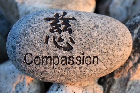 우리에겐 Compassion 이 있습니다.
