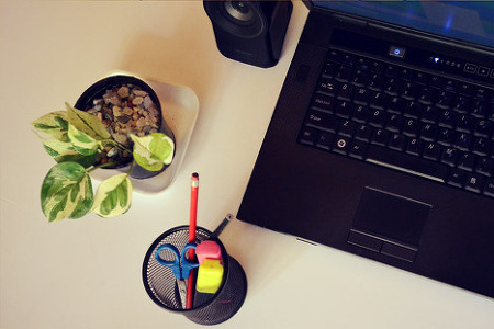 사무실 연필꽂이 연필 가위 형광펜 화분 식물 업무 노트북 스피커 회사 사무용품 식물 책상 - 무료이미지