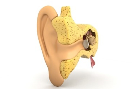 소음성난청 증상, 치료 및 예방법