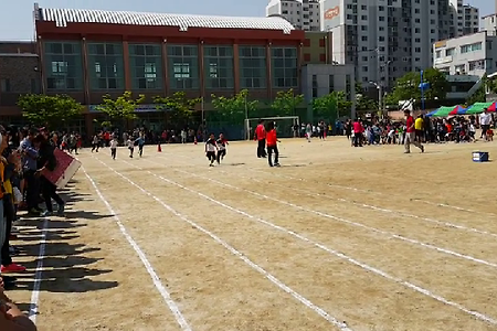 [대전용전초등학교운동회][청백계주달리기][100m달리기시합]