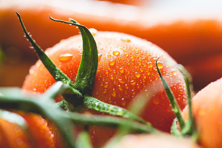 토마토 신선한 야채 비타민 레드 과일 건강 샐러드 빨강 음식 채식 붉은 풍부 - 무료이미지