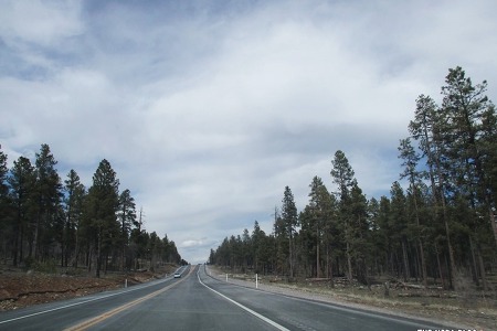 애리조나 로드트립 ⑥ 구불구불 가파른 산길따라 Flagstaff로 간다.