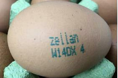 살충제 검출 계란 또 발견, 난각 코드는?