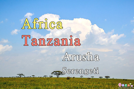 2018년 아프리카 여행기 19, 탄자니아(Tanzania) 세렝게티 (Serengeti) 국립공원 (Serengeti National Park)