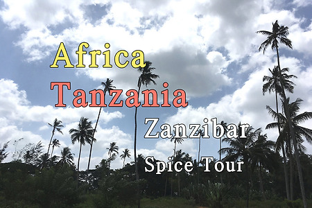 2018년 아프리카 여행기 27, 탄자니아(Tanzania) 잔지바르(Zanzibar) 향신료(Spice) 투어