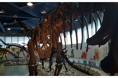 남양주 미호 박물관 ( 공룡 박물관 )