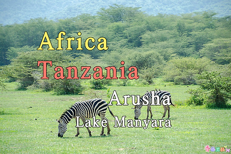 2018년 아프리카 여행기 14, 탄자니아(Tanzania) 만야라 호수(Lake Manyara) 2