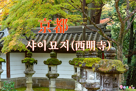 2018년 교토 단풍출사, 교토(京都) 다카오산(高雄山) 사이묘지(西明寺)