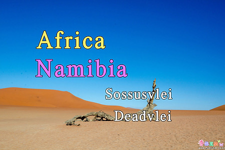 2018년 아프리카 여행기 47, 나미비아 소수스블레이(Sossusvlei) 데드블레이(Deadvlei)