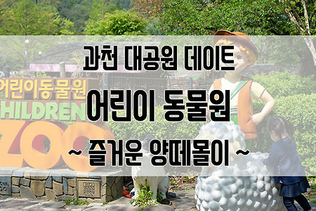 서울대공원 어린이동물원 데이트 : 양떼몰이 관람과 양 먹이주기 체험