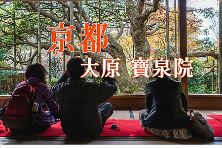 2016 일본 교토 여행기 12, 교토 오하라(大原) 호센인(寶泉院)