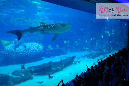 철판의 중량산출공식에서 비중과 상수(백만)의 의미와 뜻