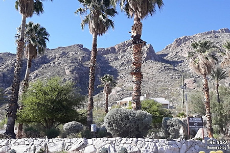 [투산] 즉석으로 만들어 주는 따뜻한 호텔 조식 & 투산 친구집 동네 근처 - 첫째와 둘째의 Tucson (투산) 여행