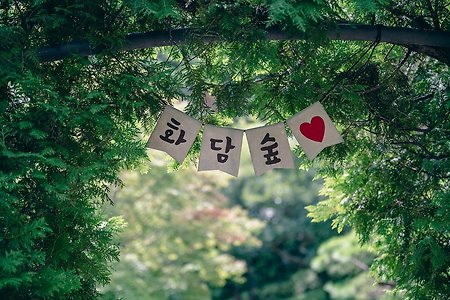 서울 근교 가족 나들이 추천 장소 곤지암 화담숲에 다녀왔다.