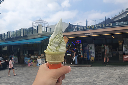 [담양] 김순옥 댓잎 찹쌀도너츠 본점, 아이스크림 맛집이네?