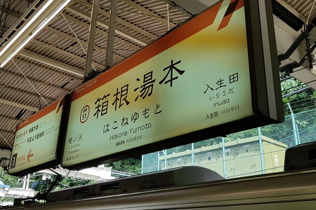 #도쿄 여행 신주쿠에서 하코네 가는 법, 하코네 프리 패스 사용