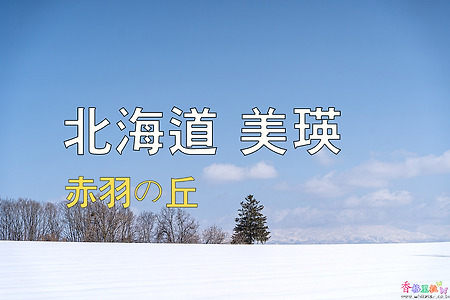 2023년 일본 홋카이도 여행 14 / 비에이(美瑛) 아카바네 언덕(赤羽の丘)