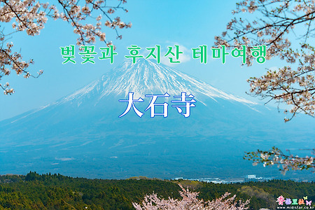 2019 벚꽃과 후지산 테마여행 - 다이세키지(大石寺) 벚꽃