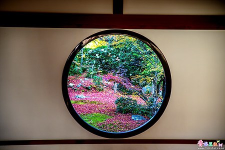 [일본] 교토 겐코안(源光庵) 깨달음의 창(悟りの窓)